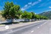 1150 E Broadway photo